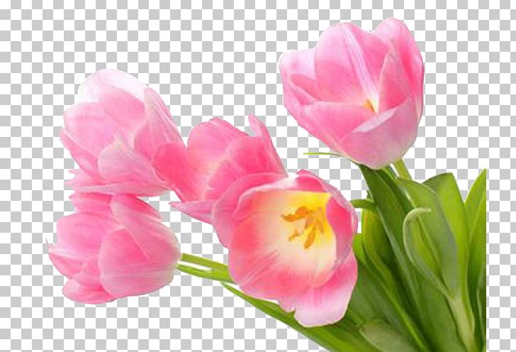 International Women's Day Flower March 8 Woman Easter PNG, Clipart, Carnations, Deco, Desktop Wallpaper, Easter, Element Free PNG Download