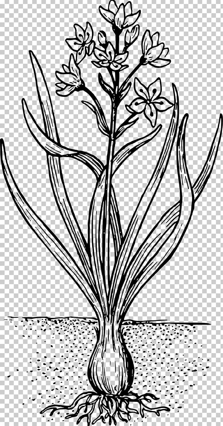 Twig Floral Design Plant Stem Leaf PNG, Clipart, Art, Black And White, Branch, Flora, Floral Design Free PNG Download