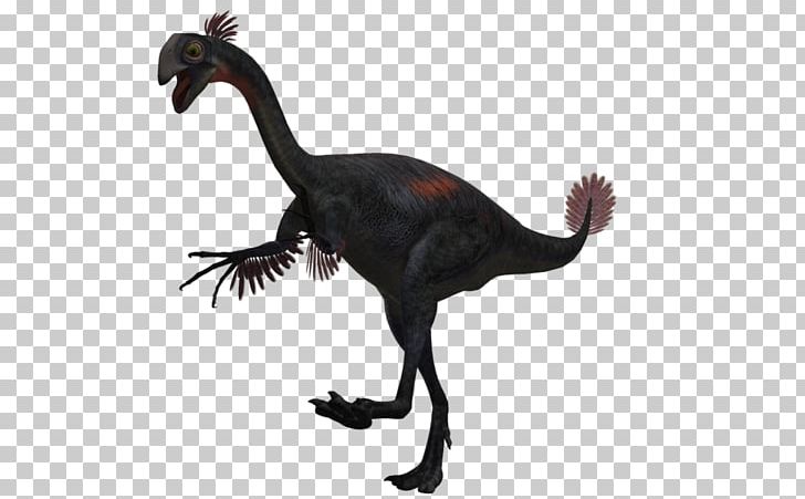 Velociraptor Animal PNG, Clipart, Animal, Animal Figure, Beak, Dinosaur, Fauna Free PNG Download
