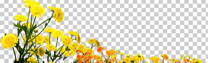 Flower Bouquet Common Sunflower PNG, Clipart, Adobe Illustrator, Computer Wallpaper, Encapsulated Postscript, Flower, Flowers Free PNG Download