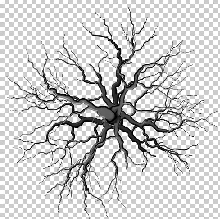 Tree Branch Root Woody Plant Symbol PNG, Clipart, Artwork, Black And White, Branch, Computer Icons, Drawing Free PNG Download