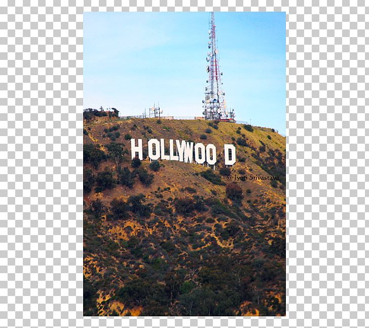 Tree Sky Plc PNG, Clipart, Angeles, Hollywood, Hollywood Sign, Land Lot, Los Angeles Free PNG Download