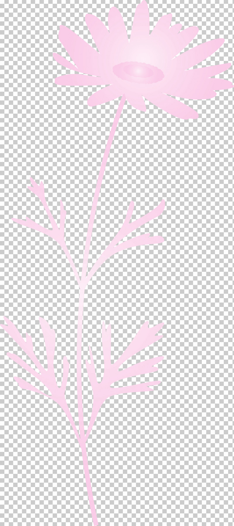 Pink Leaf Plant Pedicel Flower PNG, Clipart, Flower, Leaf, Marguerite Flower, Paint, Pedicel Free PNG Download