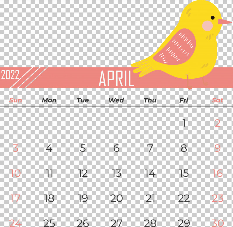 Birds Beak Line Calendar Font PNG, Clipart, Beak, Biology, Birds, Calendar, Geometry Free PNG Download