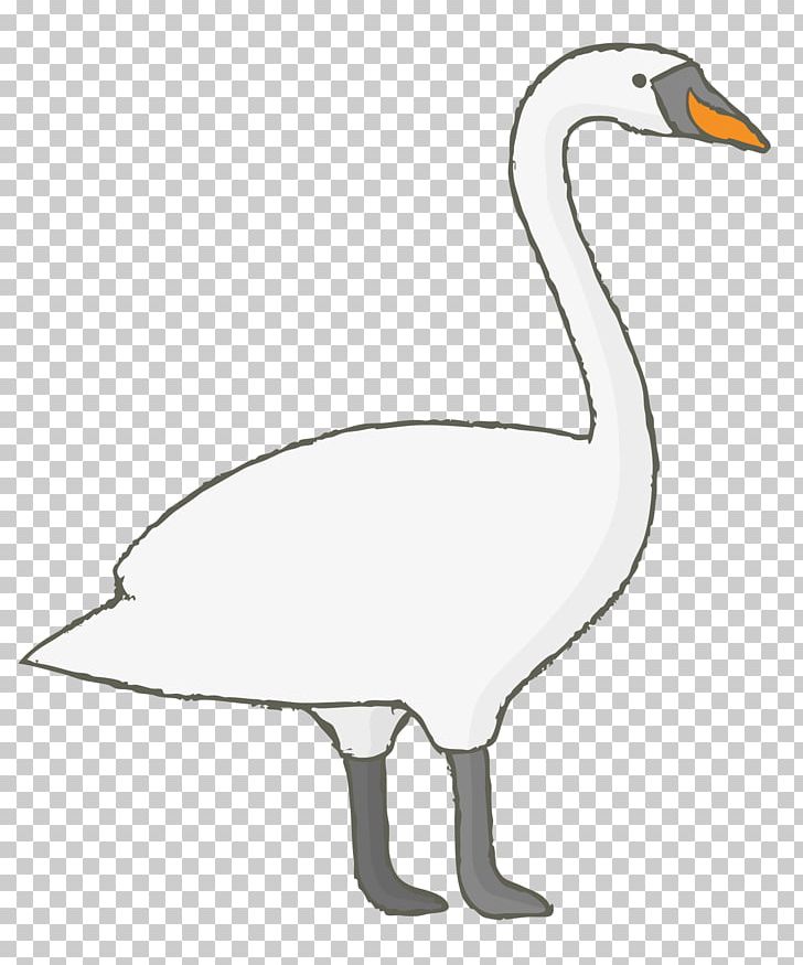 Duck Domestic Goose Cygnini PNG, Clipart, Adobe Illustrator, Animals, Background White, Beak, Bird Free PNG Download