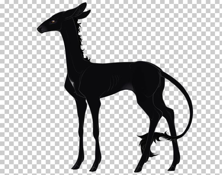 Italian Greyhound Mustang Giraffe Black PNG, Clipart, 2019 Ford Mustang, Animal Figure, Black, Black And White, Dog Like Mammal Free PNG Download