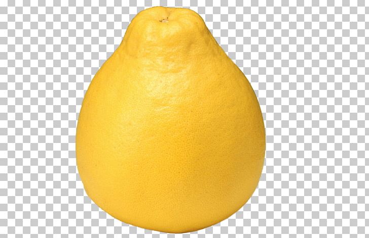 Lemon Citron Tangelo Grapefruit Citrus Junos PNG, Clipart, Acid, Citric Acid, Citrus, Color, Colorful Background Free PNG Download