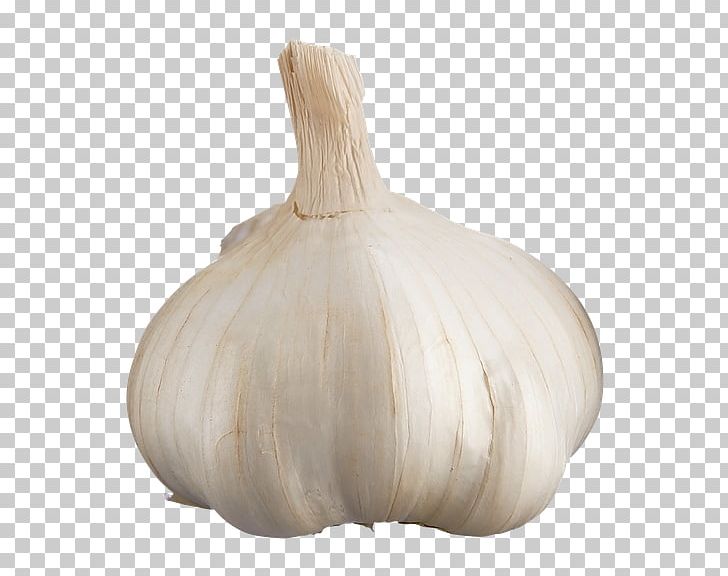 Elephant Garlic Solo Garlic Vegetable Onion Loblaws PNG, Clipart,  Free PNG Download