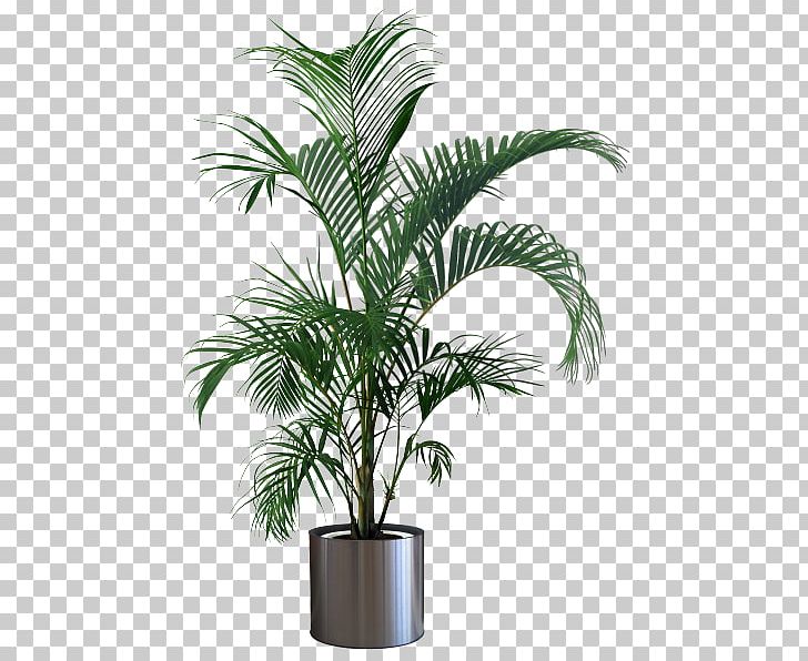 Houseplant Flowerpot Areca Palm Tree PNG, Clipart, Arecaceae, Arecales, Attalea Speciosa, Chamaedorea Elegans, Date Palm Free PNG Download