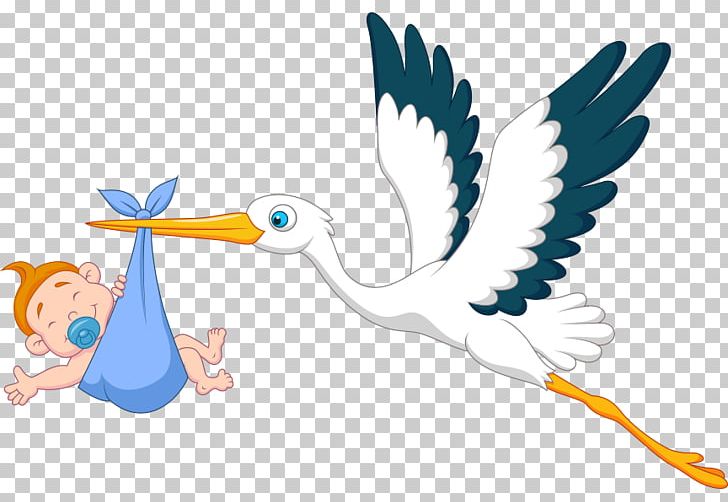 Infant PNG, Clipart, Baby Boy, Beak, Bird, Boy Cartoon, Cartoon Free PNG Download