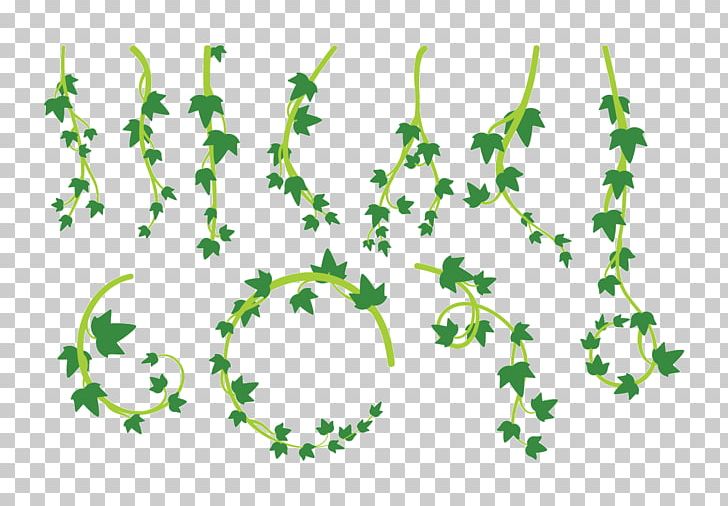 Leaf Liana Vine PNG, Clipart, Branch, Digital Image, Encapsulated Postscript, Flora, Flowering Plant Free PNG Download