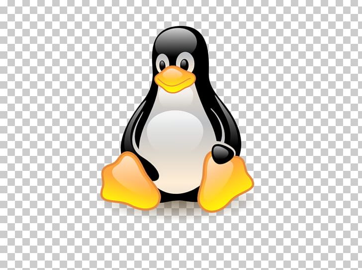 Linux Distribution Operating Systems Computer Software PNG, Clipart, Beak, Bird, Fdisk, File System, Flightless Bird Free PNG Download