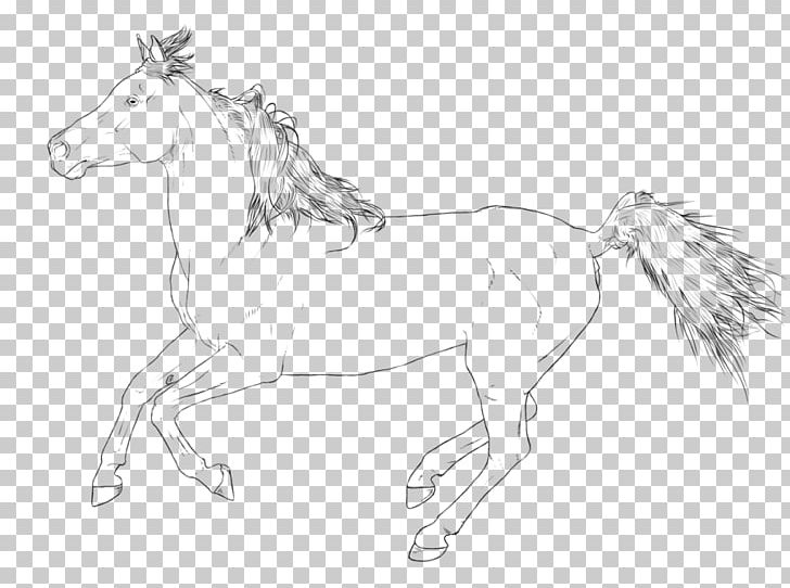 Mustang Arabian Horse Stallion Line Art Pony PNG, Clipart, Animal Figure, Arabian Horse, Artwork, Black And White, Bridle Free PNG Download