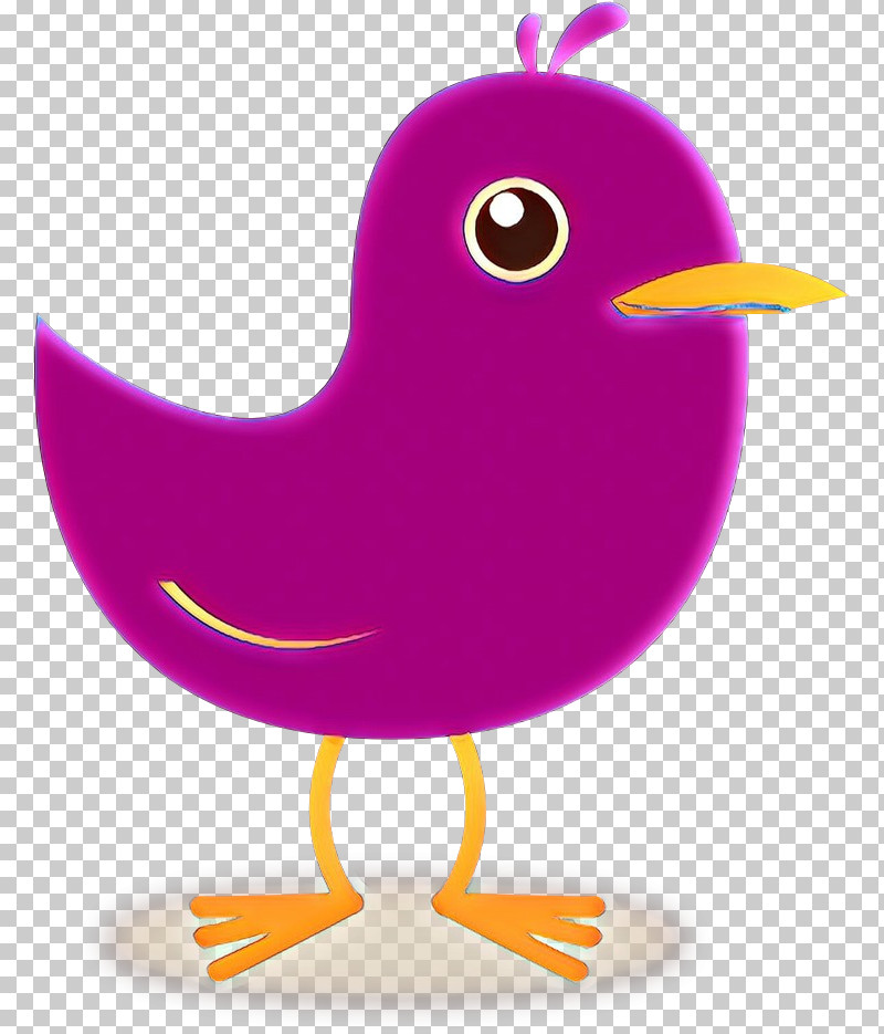 Purple Bird Beak PNG, Clipart, Beak, Bird, Purple Free PNG Download