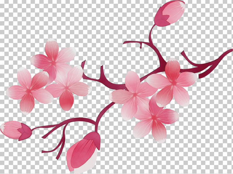 Cherry Blossom PNG, Clipart, Artificial Flower, Blossom, Branch, Cherry Blossom, Dendrobium Free PNG Download