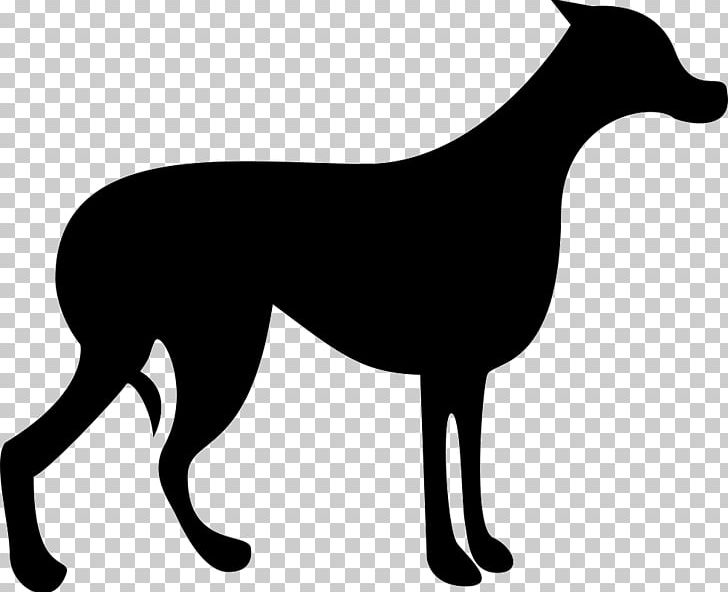 Horse Dog Silhouette PNG, Clipart, Agriculture, Animal, Animals, Black, Black And White Free PNG Download