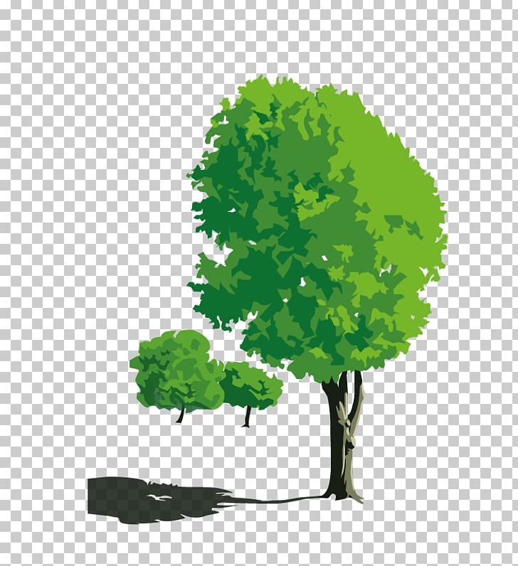 Photography Nature Cartoon PNG, Clipart, Animation, Branch, Cartoon, Computer Wallpaper, Decorative Patterns Free PNG Download