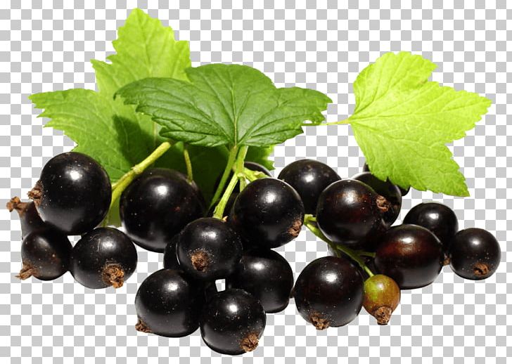 Zante Currant Blackcurrant Juice Herbal Tea PNG, Clipart, Avon Products, Berries, Berry, Bilberry, Blackcurrant Free PNG Download