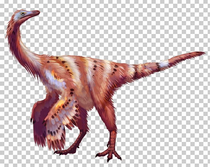 Beak Velociraptor Feather Wildlife Terrestrial Animal PNG, Clipart, Animal, Animals, Beak, Bird, Cretaceous Free PNG Download