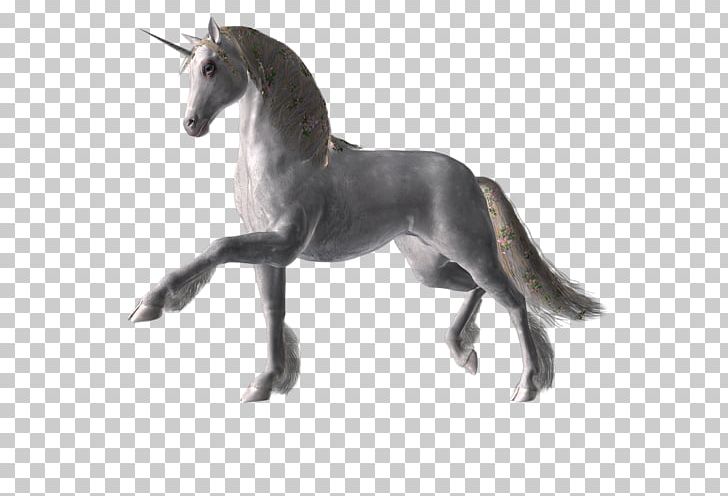 Foal Mustang Stallion Mare Pony PNG, Clipart, Animal, Animal Figure, At Resimleri, Foal, Horse Free PNG Download
