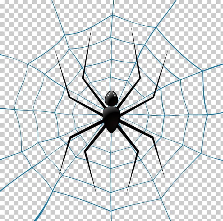 Spider Web Theridiidae Euclidean Illustration PNG, Clipart, Angle, Animal, Arachnid, Area, Author Free PNG Download