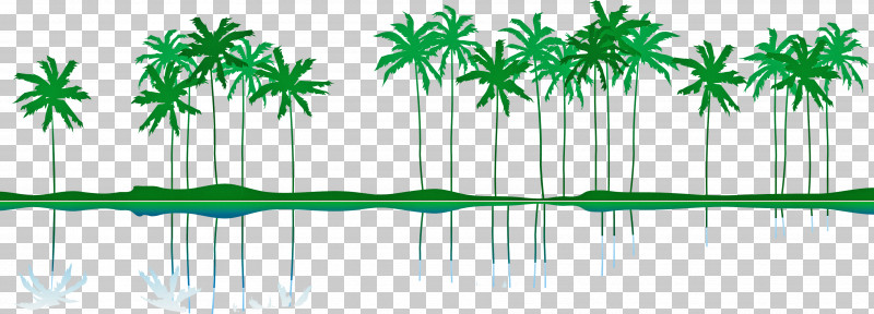 Palm Tree PNG, Clipart, Arecales, Green, Leaf, Line, Palm Tree Free PNG Download