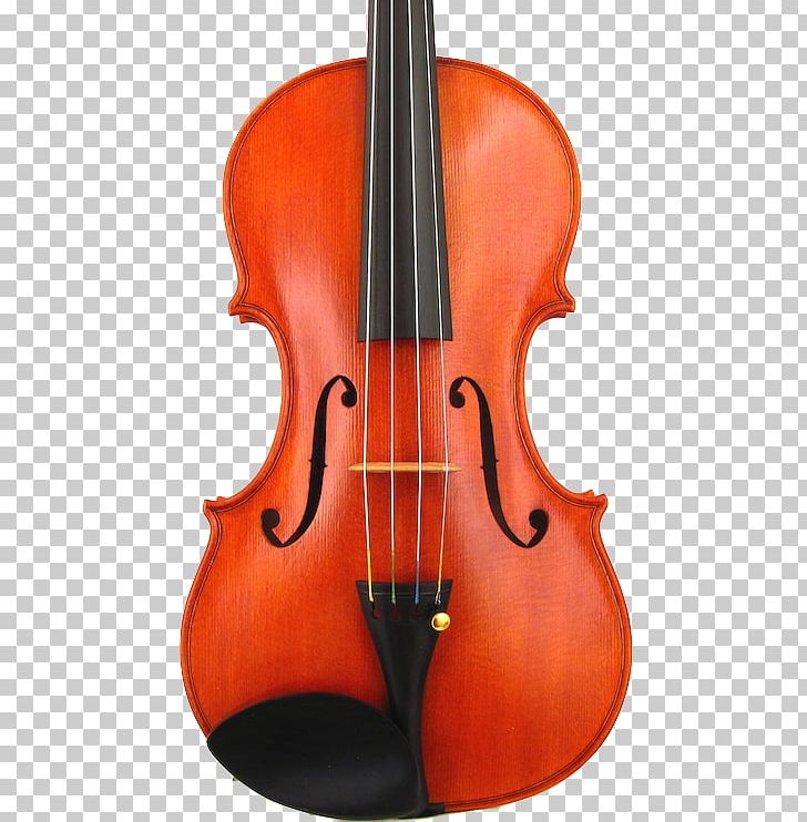 Bass Violin Viola Violone Double Bass PNG, Clipart, Antonio Stradivari, Bass Violin, Bowed String Instrument, Cellist, Cello Free PNG Download