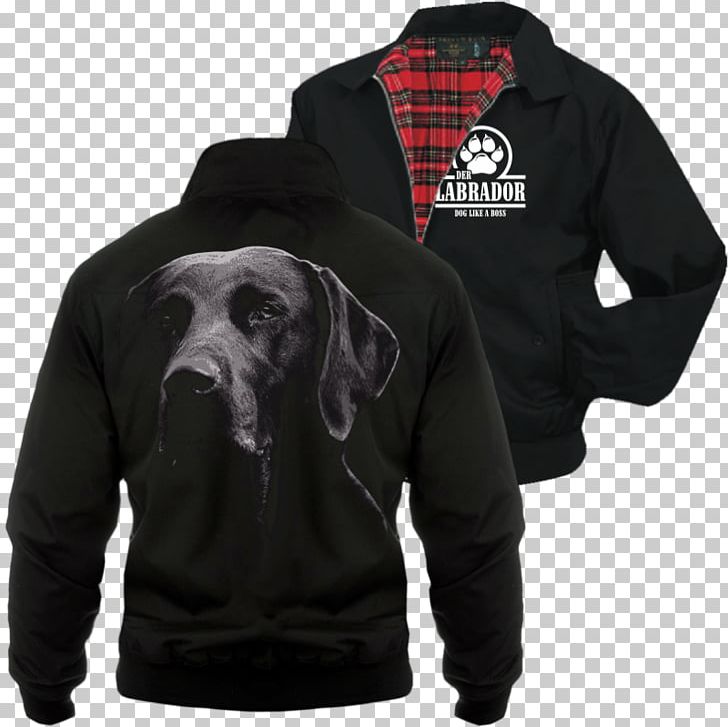 Hoodie Harrington Jacket Jumper Clothing PNG, Clipart, Appenzeller Sennenhund, Clothing, Clothing Accessories, Dog Like Mammal, Ebay Free PNG Download