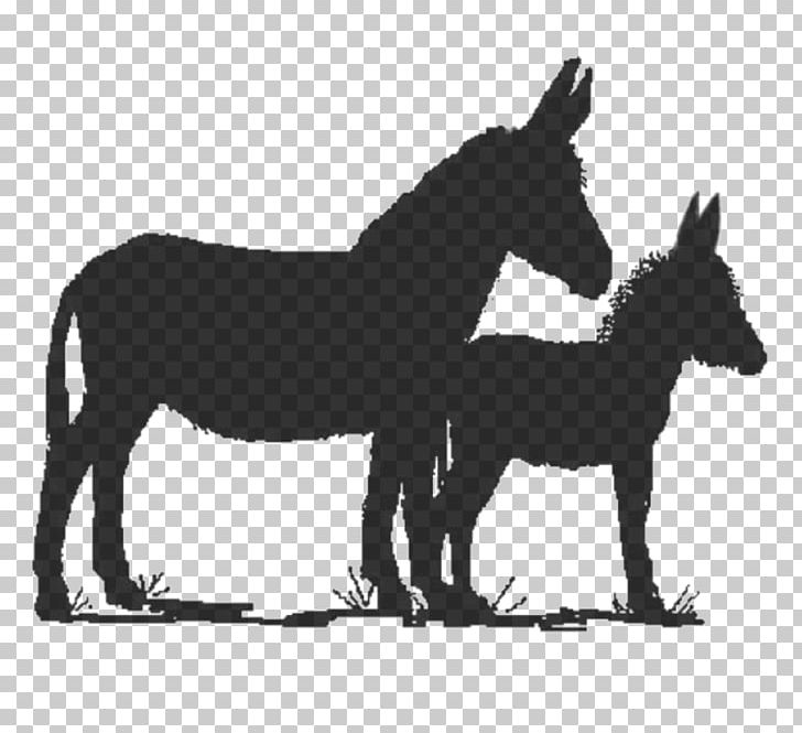 Mule Stallion Foal Mare Donkey PNG, Clipart, Animals, Black And White, Brood, Donkey, Donkeys In North America Free PNG Download