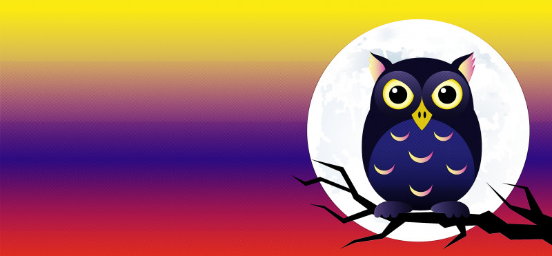 Happy Halloween PNG, Clipart, Animation, Beak, Bird Of Prey, Birds, Cartoon Free PNG Download