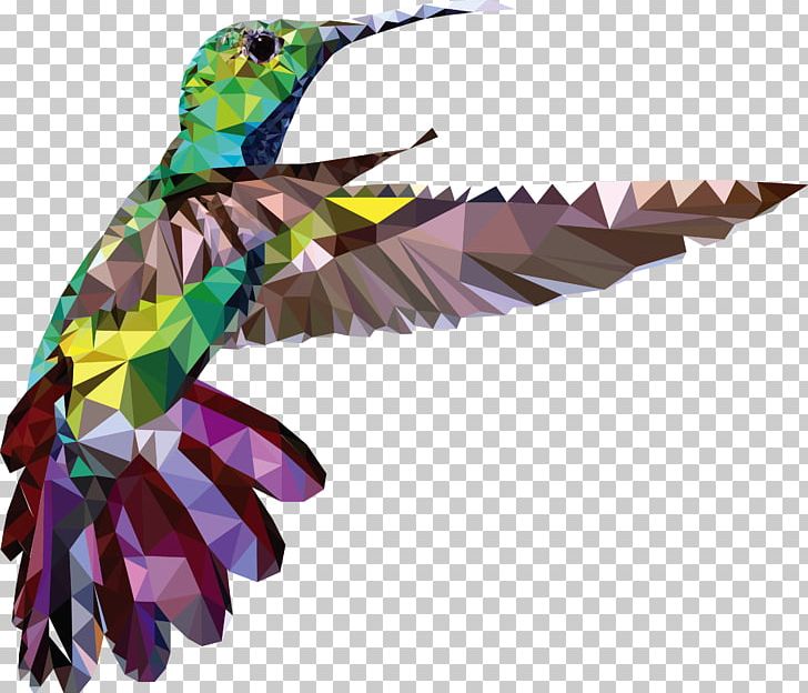 Hummingbird Decal Bumper Sticker PNG, Clipart, Animals, Beak, Bird, Bumper Sticker, Color Free PNG Download