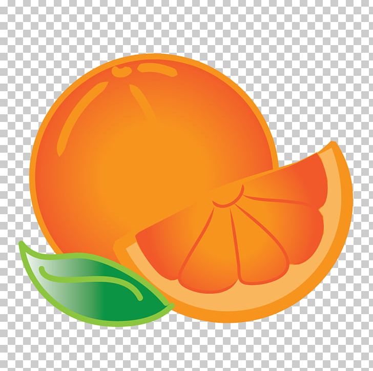 Orange PNG, Clipart, Circle, Citrus, Clip Art, Computer Icons, Computer Wallpaper Free PNG Download