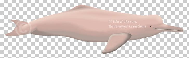 Tucuxi Amazon River Dolphin Araguaian River Dolphin PNG, Clipart, Amazon River, Amazon River Dolphin, Animal Figure, Araguaian River Dolphin, Azores Free PNG Download