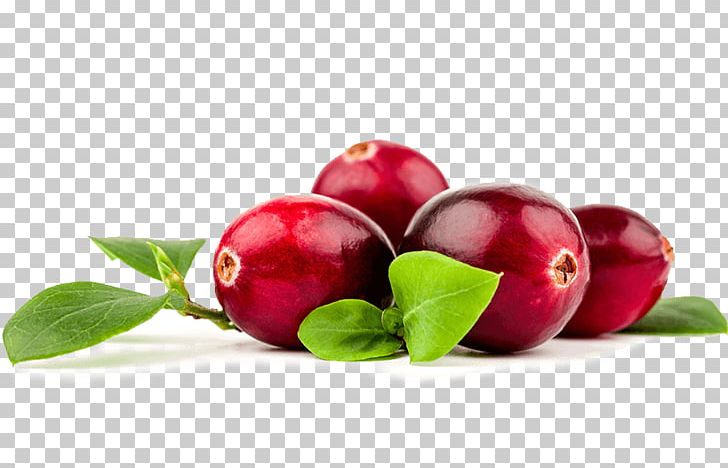 Cranberry Juice Lingonberry Food PNG, Clipart, Apple, Berry, Cranberry, Diet Food, Fruit Free PNG Download