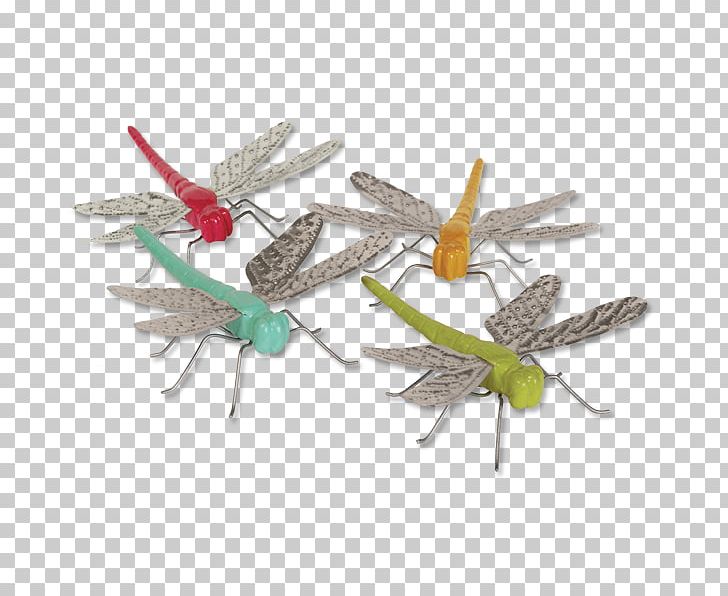 Insect PNG, Clipart, Animals, Arthropod, Decorative Patternfloralcolorful, Insect, Invertebrate Free PNG Download