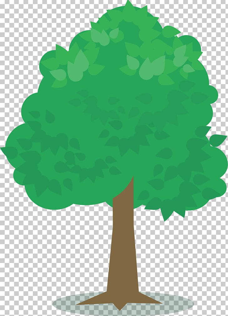 Tree Plant Albizia Julibrissin PNG, Clipart, Albizia Julibrissin, Biodiversity, Branch, Desktop Wallpaper, Fruit Tree Free PNG Download