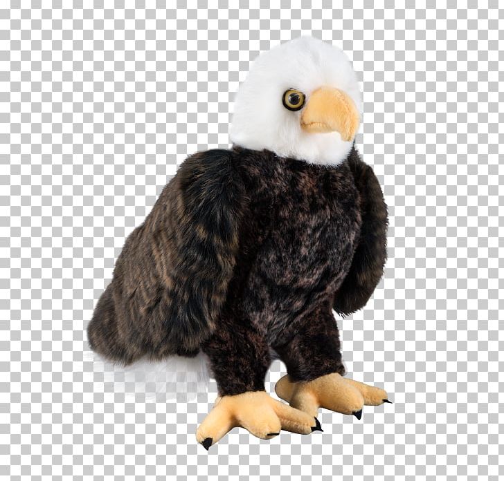 White House Bald Eagle Presidential State Car Seal Of The President Of The United States Air Force One PNG, Clipart, Air Force One, Airplane, Bald Eagle, Bird, Great Seal Of The United States Free PNG Download