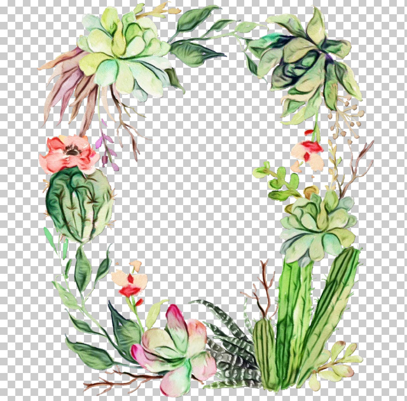 Cactus PNG, Clipart, Agave, Aloes, Cactus, Century Plant, Flower Free PNG Download