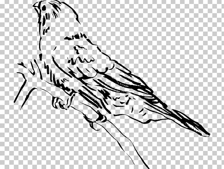 Beak Bird Lark PNG, Clipart, Animals, Art, Artwork, Beak, Bird Free PNG Download