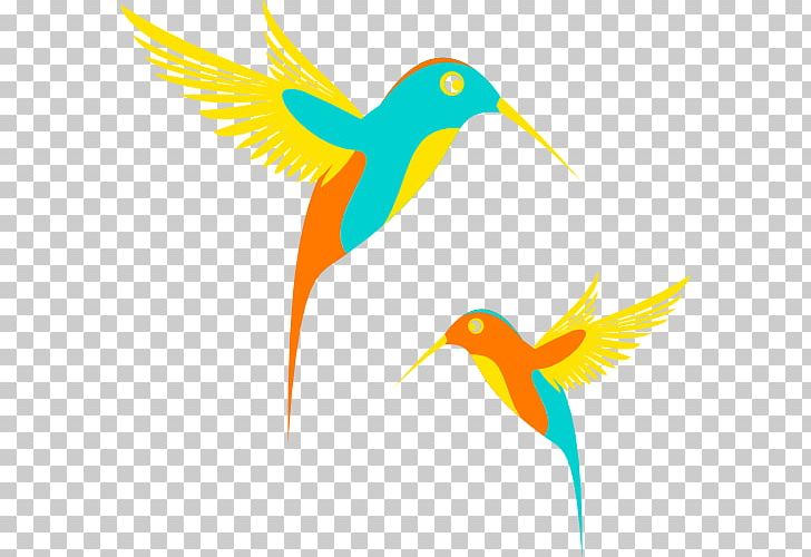 Hummingbird PNG, Clipart, Animals, Beak, Bird, Bird Feeding, Bird Flight Free PNG Download
