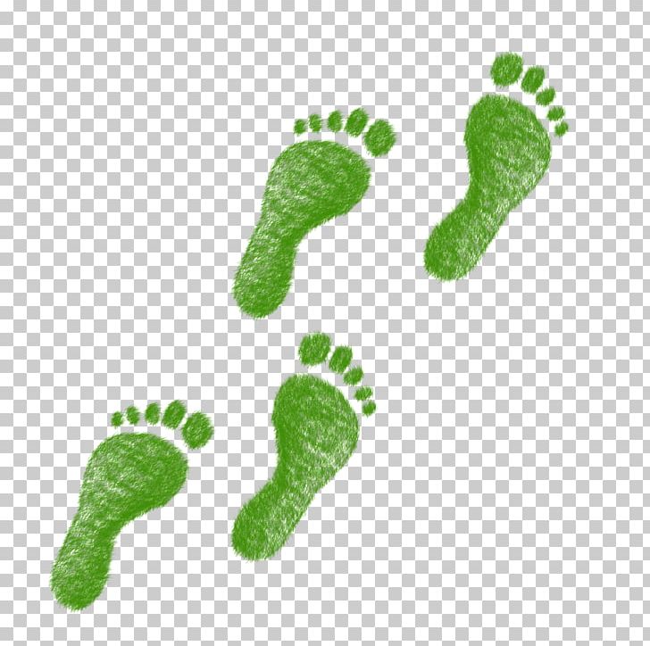 Ecological Footprint Ecology Environmental Degradation Natural Environment Surgery PNG, Clipart, Biocapacity, Biodiversity, Conservation, Ecological Economics, Ecological Footprint Free PNG Download