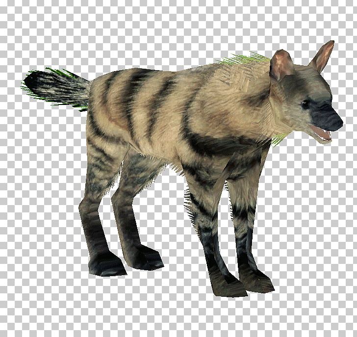 Hyena Aardwolf Mammal Carnivora PNG, Clipart, Aardwolf, Animal, Animals, Canidae, Carnivora Free PNG Download