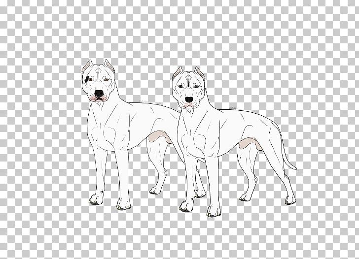 Korean Jindo Kishu White Shepherd Dog Breed Line Art PNG, Clipart, Artwork, Black And White, Breed, Breed Group Dog, Carnivoran Free PNG Download