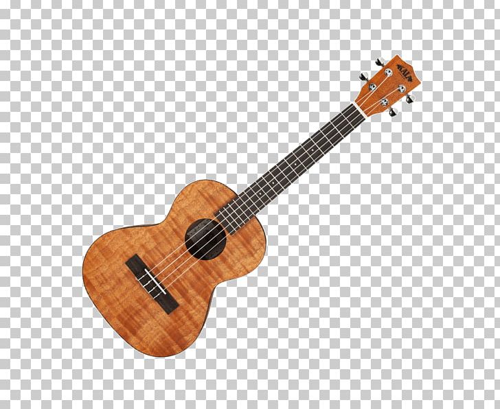 Steel-string Acoustic Guitar Takamine Guitars Musical Instruments Acoustic-electric Guitar PNG, Clipart, Acoustic Electric Guitar, Classical Guitar, Cuatro, Cutaway, Guitar Accessory Free PNG Download