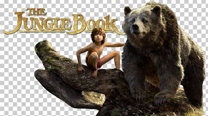 The Second Jungle Book King Louie Mowgli Film Computer-generated Ry PNG, Clipart, Animation, Bear, Cartoon, Cartoons, Computergenerated Imagery Free PNG Download