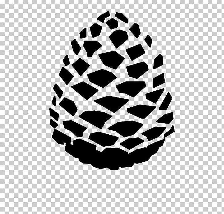 Conifer Cone Lil Pinecone Pinecone Gang Lost Pines Avenue PNG, Clipart, Avenue, Bastrop, Black And White, Circle, Cone Free PNG Download