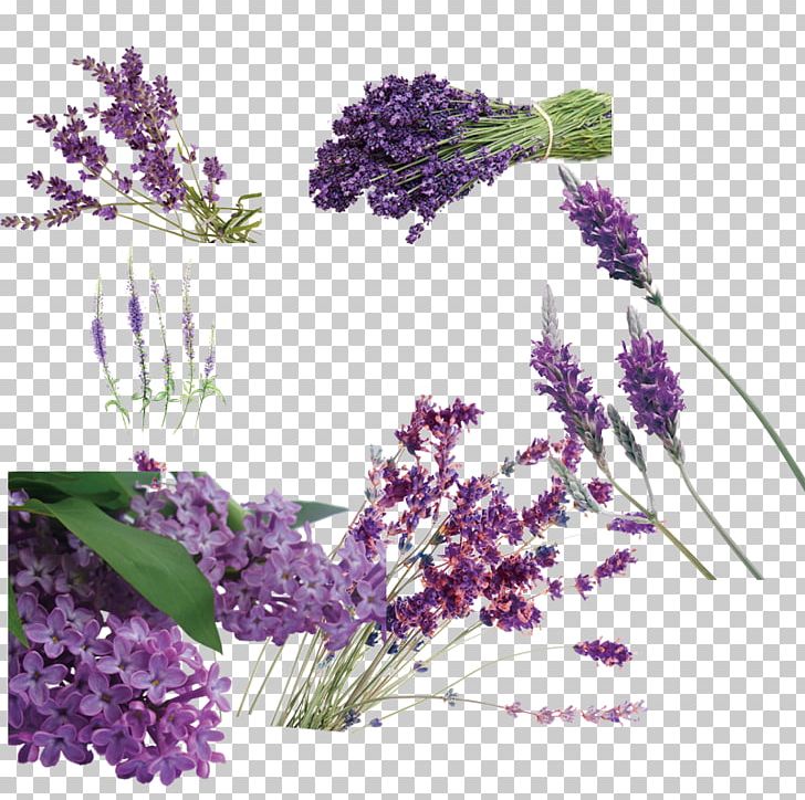 English Lavender Designer Packaging And Labeling PNG, Clipart, Artificial Flower, Box, Daquan, Designer, Download Free PNG Download