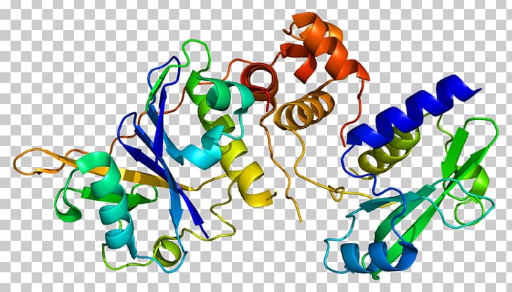 SOCS2 Suppressor Of Cytokine Signalling Protein Ubiquitin Ligase Suppressor Of Cytokine Signaling 1 PNG, Clipart, 2 C, Artwork, Body Jewelry, C 9, Cell Signaling Free PNG Download