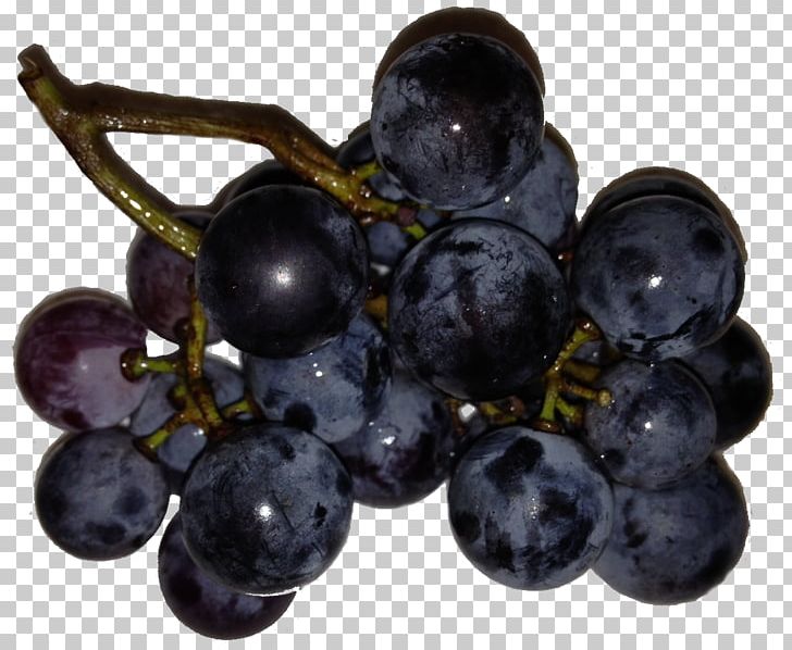 Zante Currant Grapevines Seedless Fruit Blueberry PNG, Clipart, All About Fruit, Bilberry, Blueberry, Food, Fruit Free PNG Download