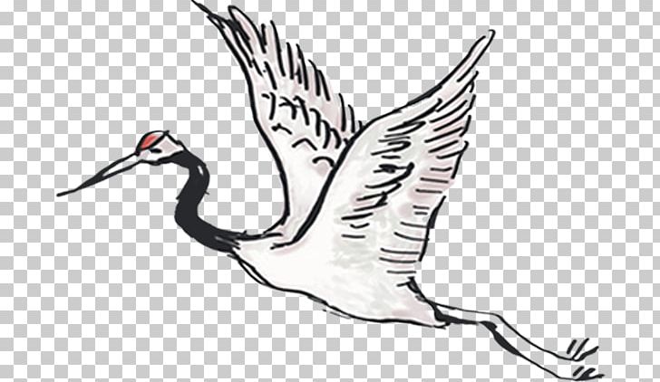 Crane Bird U53ccu548c Icon PNG, Clipart, Beak, Bird, Black And White, Crane, Crane Bird Free PNG Download